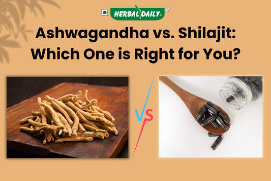 Ashwagandha vs. Shilajit: Which One is Right for You?