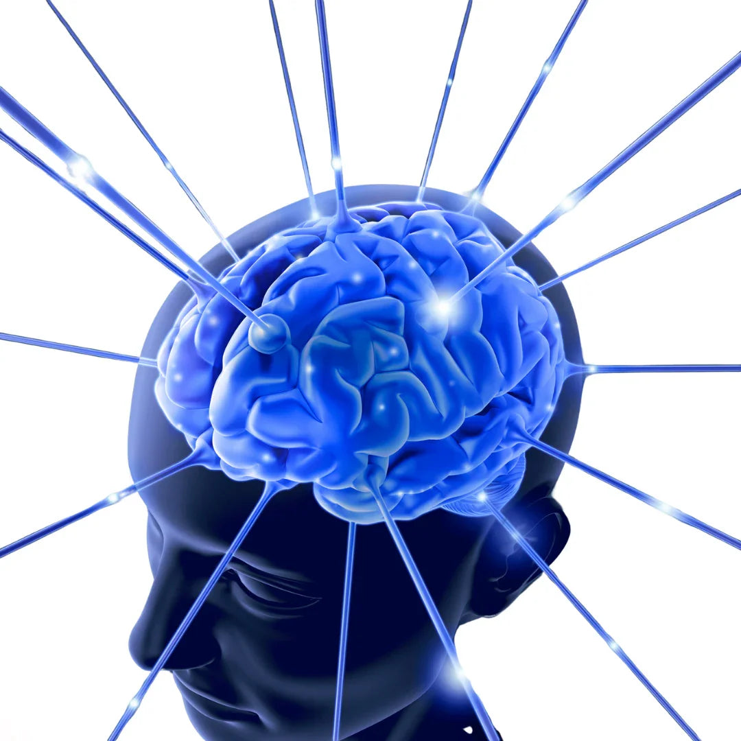 BRAIN & MIND - Causes, Symptoms & Treatments with  Herbal |  Ayurvedic | Supplements