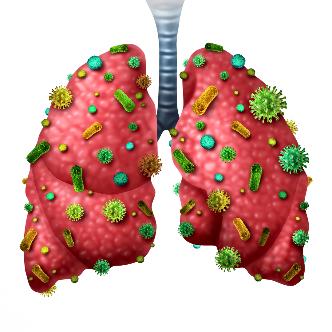 BRONCHITIS -Causes, Symptoms & Treatments with  Herbal |  Ayurvedic | Supplements