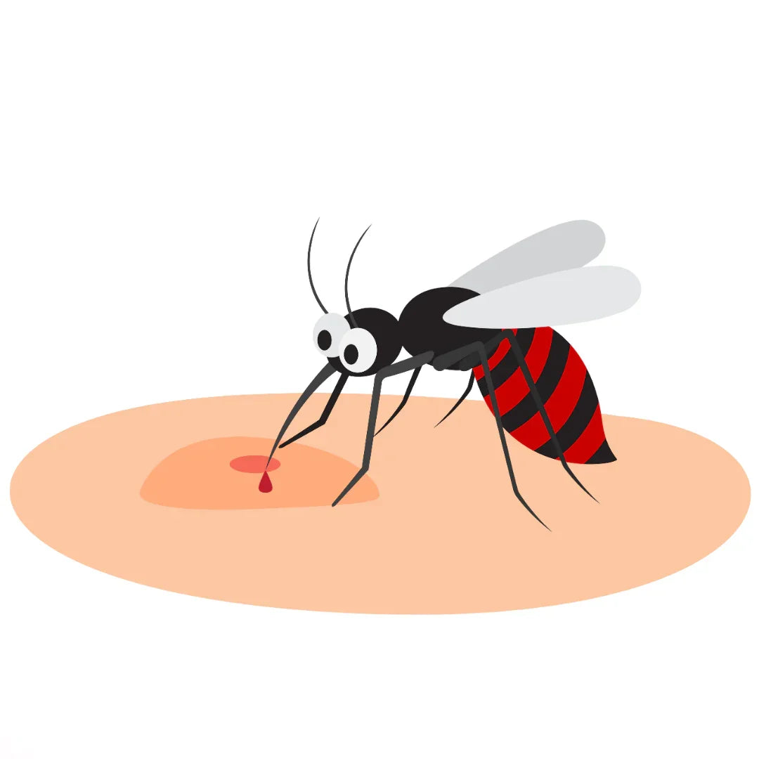 Malaria Causes and Treatment