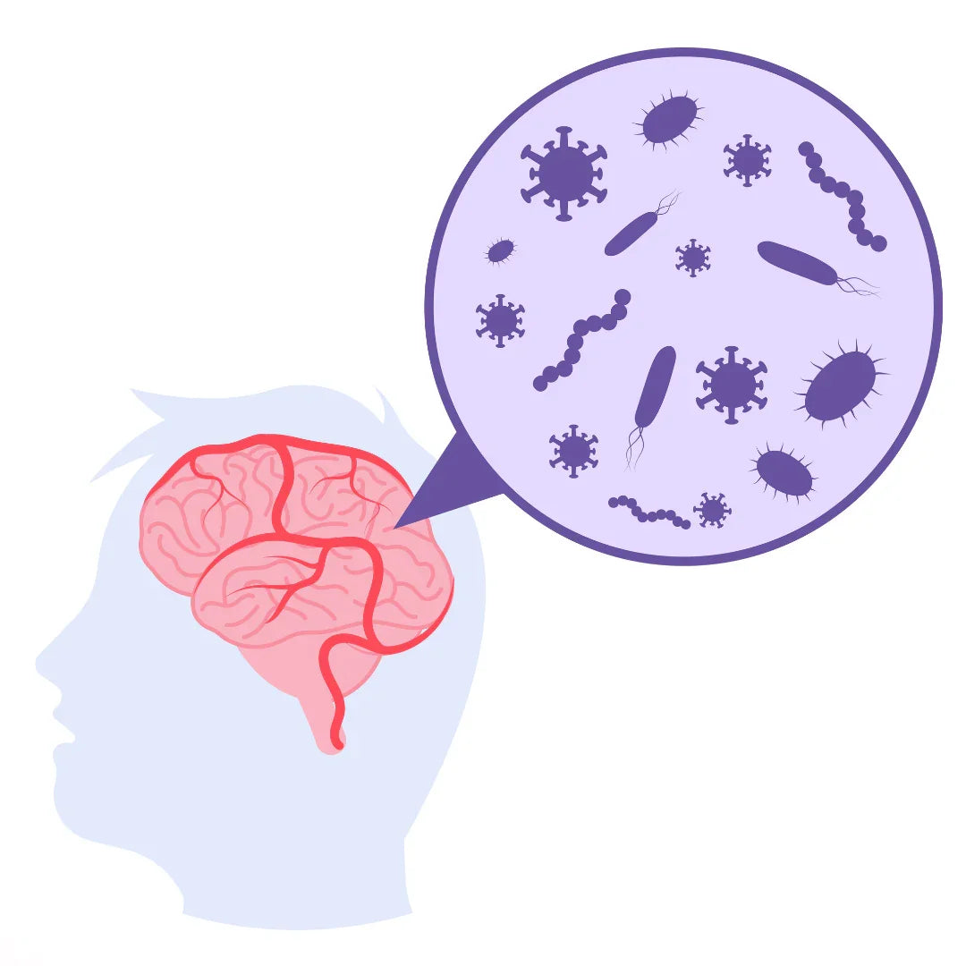 Herbal & Natural Treatment for Meningitis