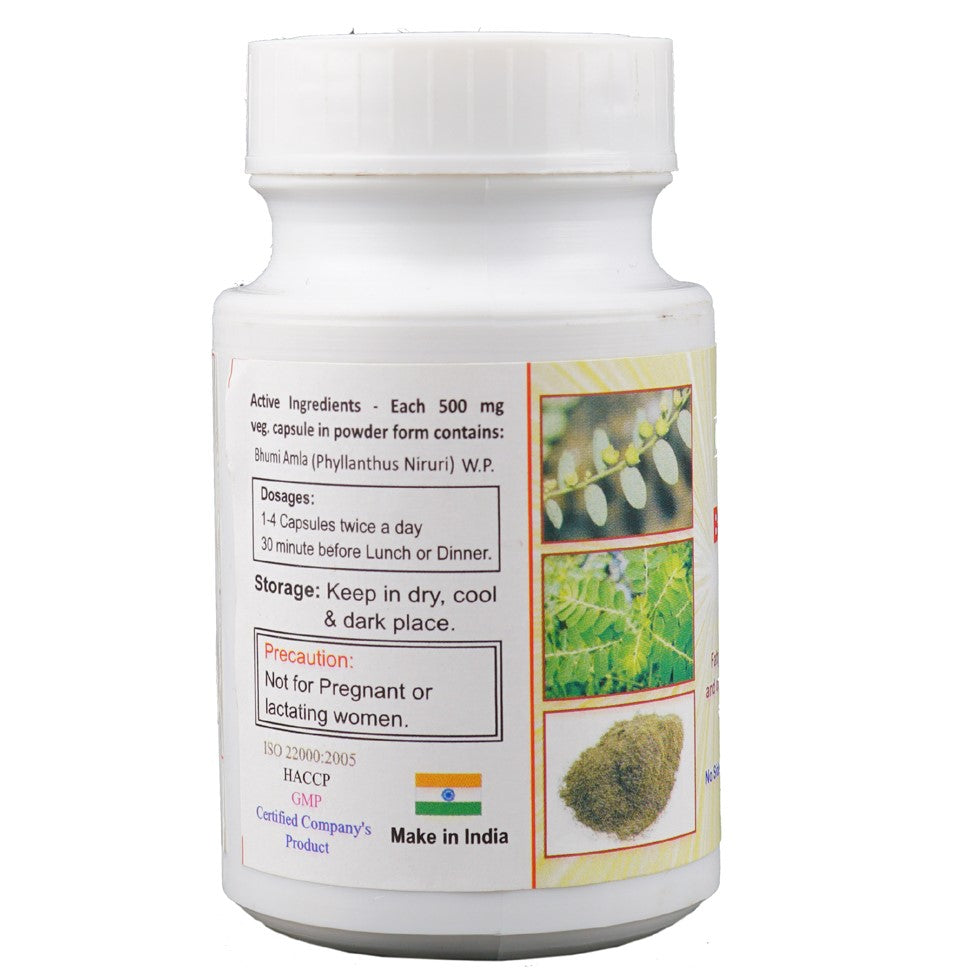 Bhumi Amla Veg Capsule Beneficial in Liver Disorder, jaundice, skin infections