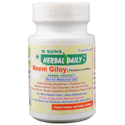 Neem Giloy Veg Capsule Boosts Immunity Reduces Stress and Anxiety