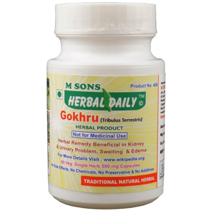 Kidney Wellness Supplements | Ayurvedic | Herbal | Treatment