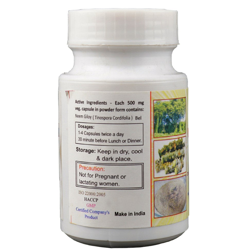 Neem Giloy Veg Capsule Boosts Immunity Reduces Stress and Anxiety